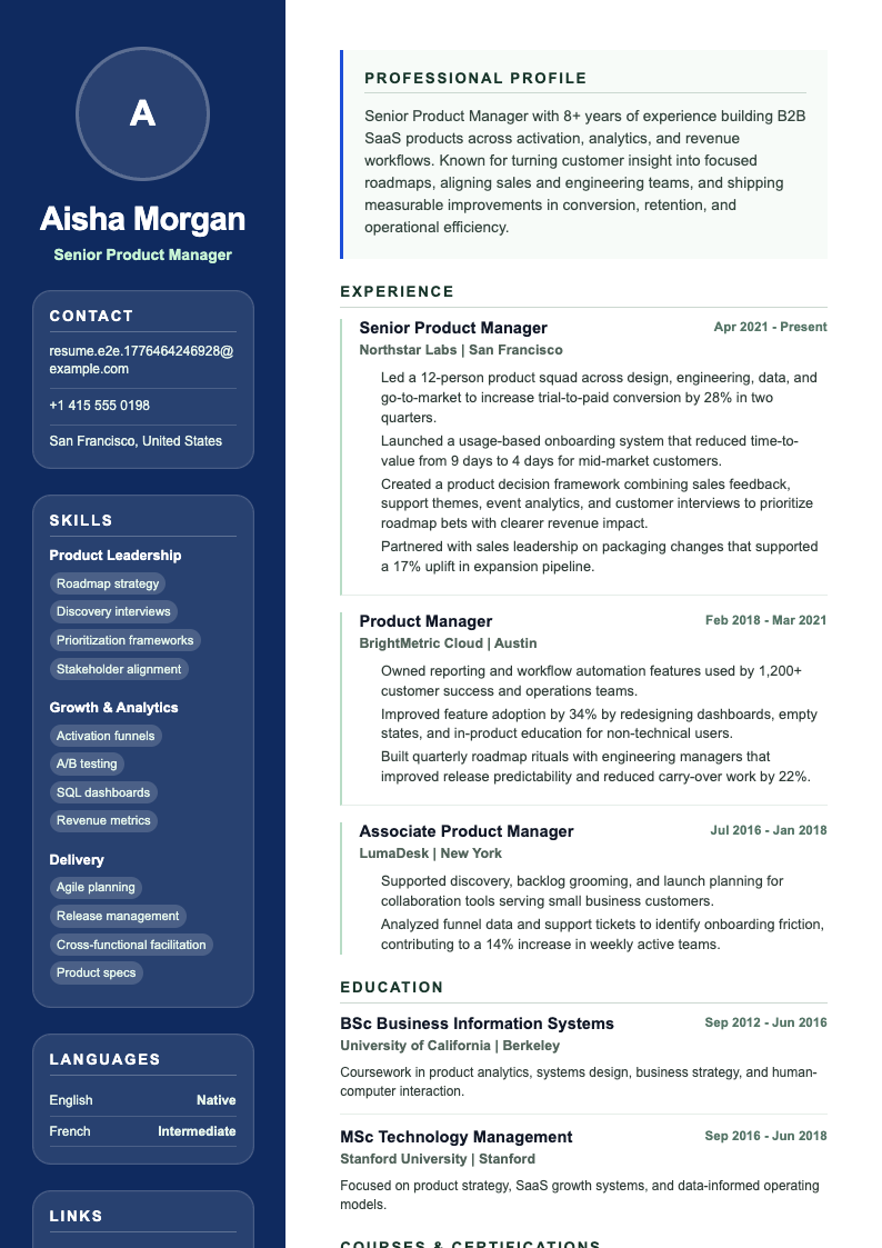 Blue Blend resume template preview