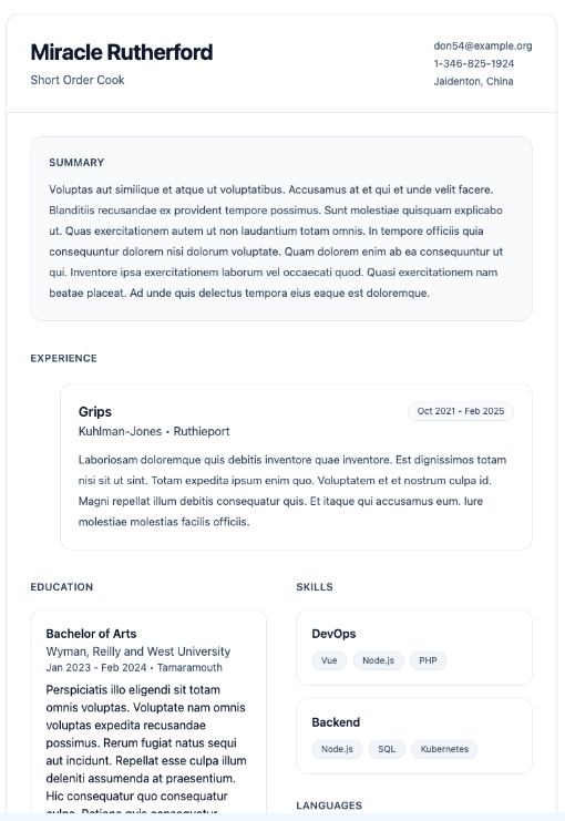 Timeline Experience resume template preview