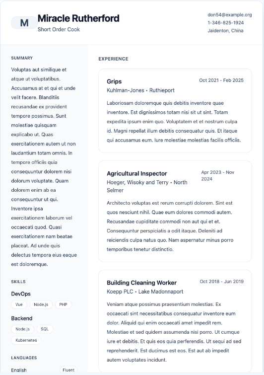 Modern Two-Column resume template preview